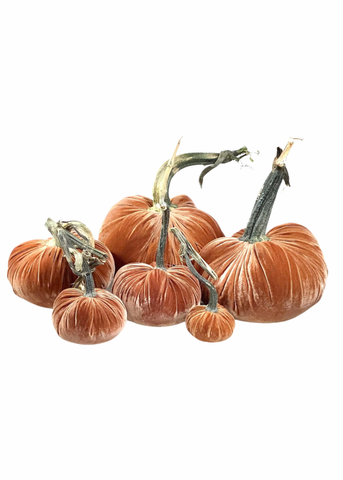 Velvet Decorative Pumpkin in Latte