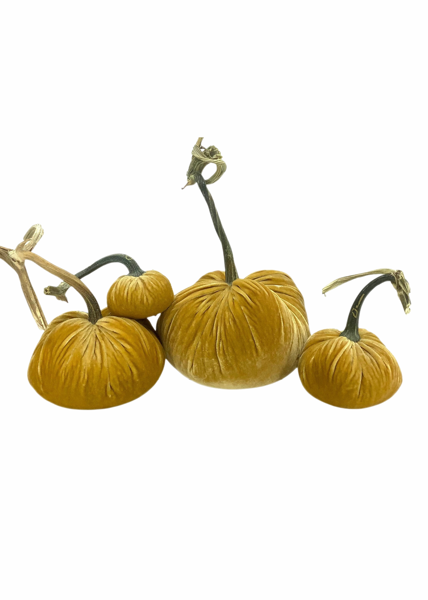Velvet Decorative Pumpkin in Maize