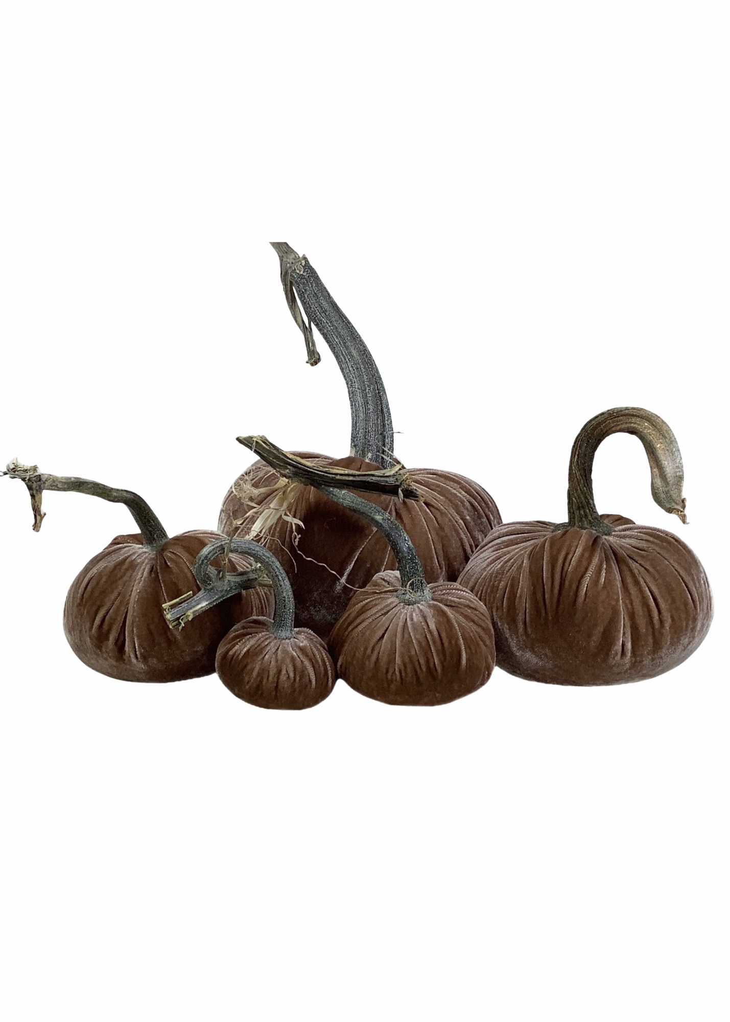 Velvet Decorative Pumpkin in Mocha