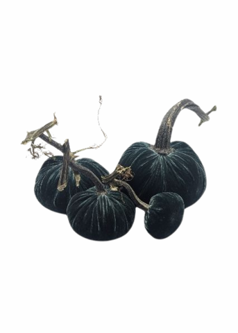 Velvet Decorative Pumpkin in Ocean