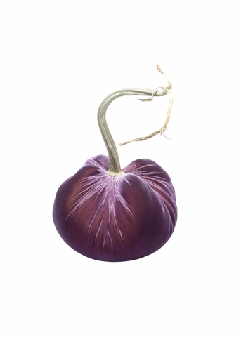 Velvet Decorative Pumpkin in Orchid