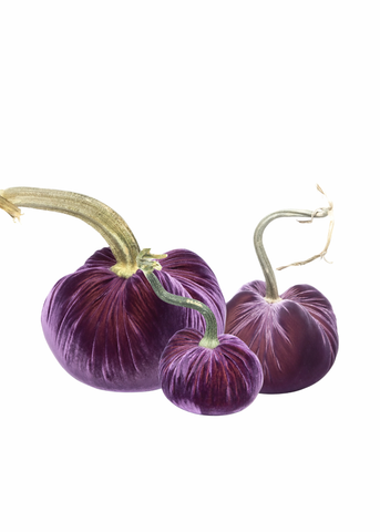 Velvet Decorative Pumpkin in Orchid