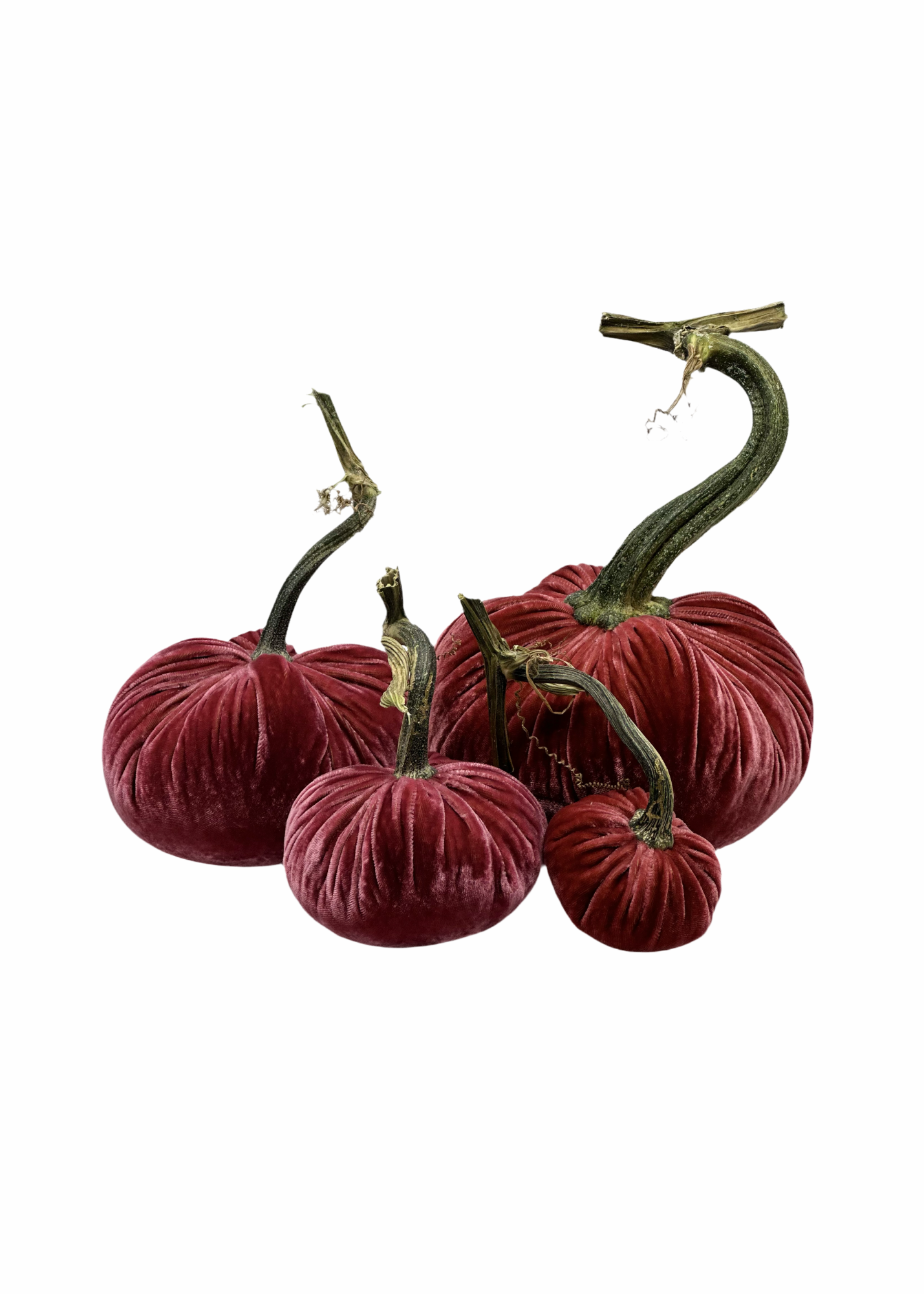 Velvet Decorative Pumpkin in Rhubarb