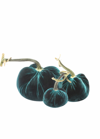 Velvet Decorative Pumpkin in Sea