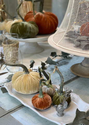Velvet Decorative Pumpkin in Spice