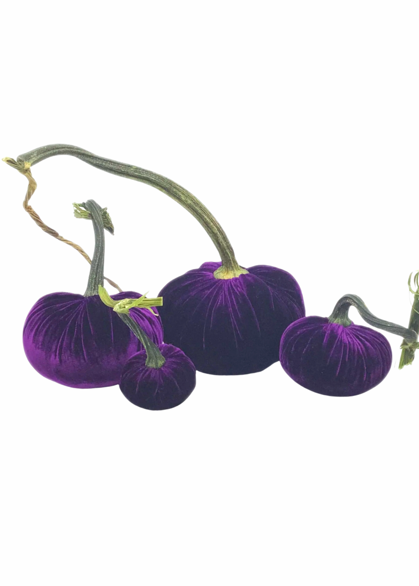 Velvet Decorative Pumpkin in Violet