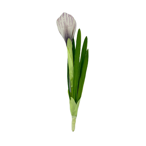 Crocus Stem in Purple + White