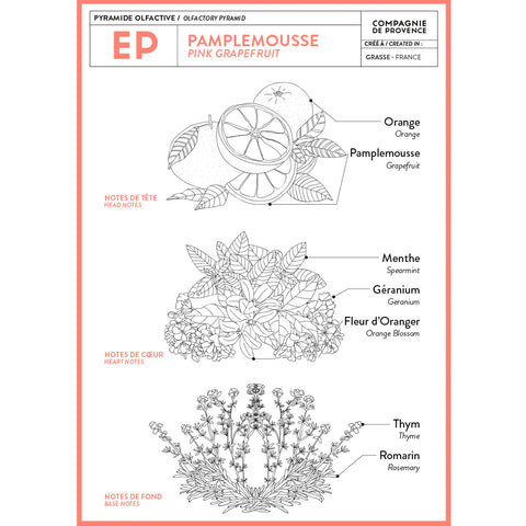 Pink Grapefruit Liquid Marseille Soap