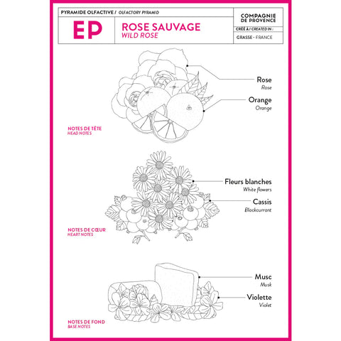 Wild Rose Liquid Marseille Soap