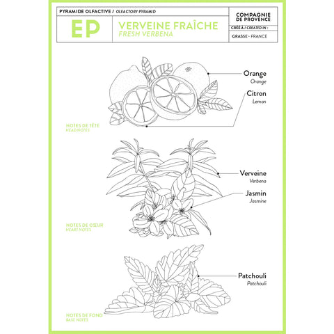 Fresh Verbena Liquid Marseille Soap