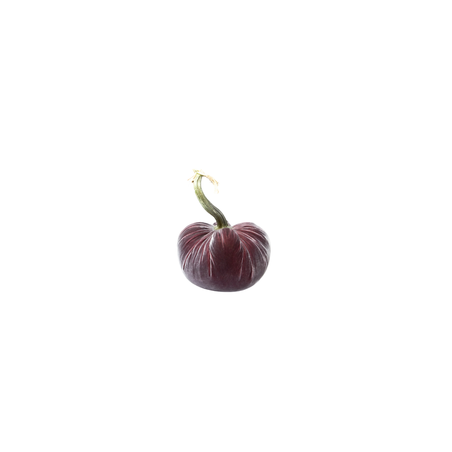 Velvet Decorative Pumpkin in Raspberry Ice
