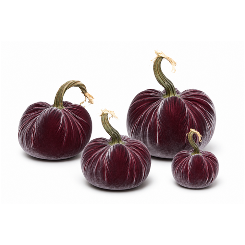 Velvet Decorative Pumpkin in Raspberry Ice