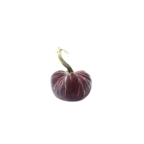 Velvet Decorative Pumpkin in Raspberry Ice