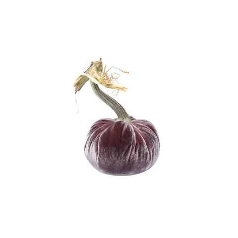 Velvet Decorative Pumpkin in Raspberry Ice