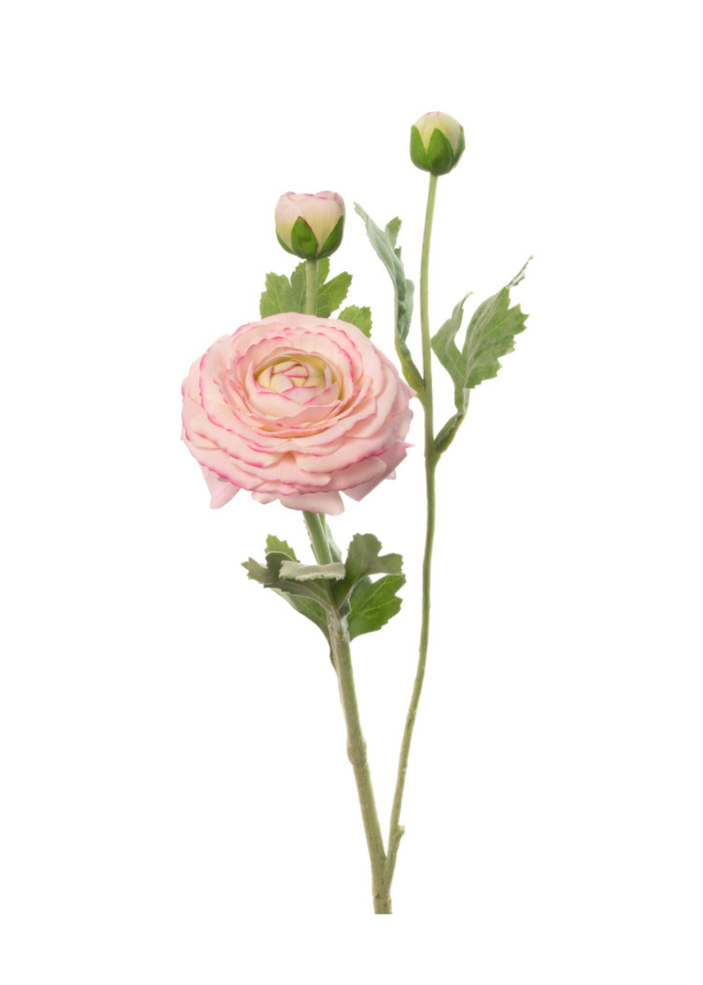 Real Touch Ranunculus Stem in Lavender Pink