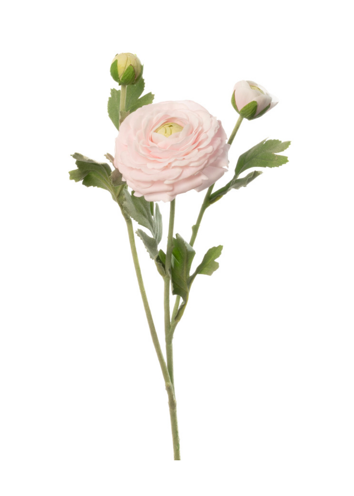 Real Touch Ranunculus Stem in Light Pink