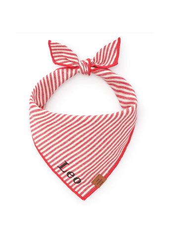 Red Striped Pet Bandana