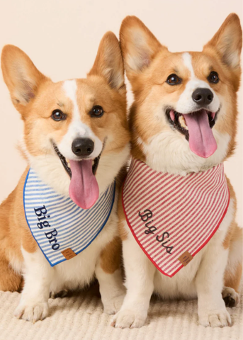 Red Striped Pet Bandana