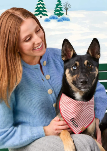 Red Striped Pet Bandana