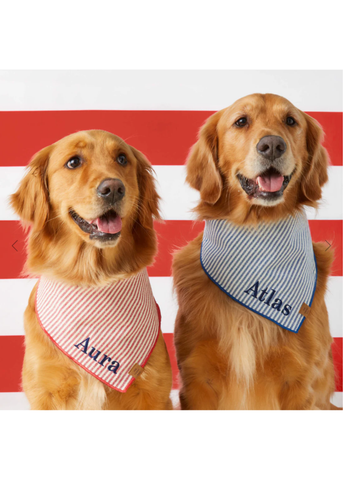 Red Striped Pet Bandana