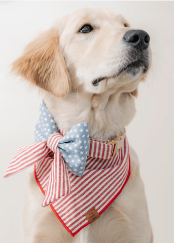 Red Striped Pet Bandana