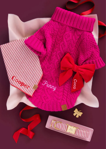 Red Striped Pet Bandana