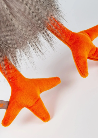 KiKeRiKi: Roost Boost