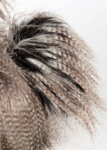 KiKeRiKi: Roost Boost