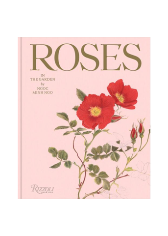 Roses In the Garden