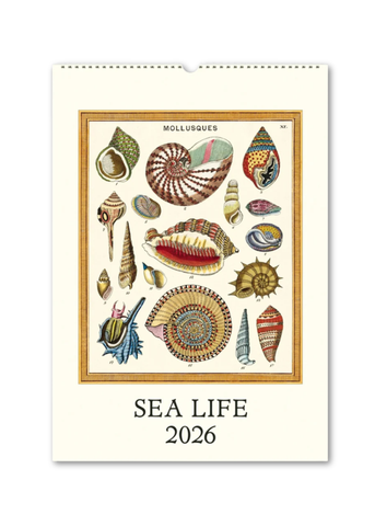 Sea Life 2026 Wall Calendar