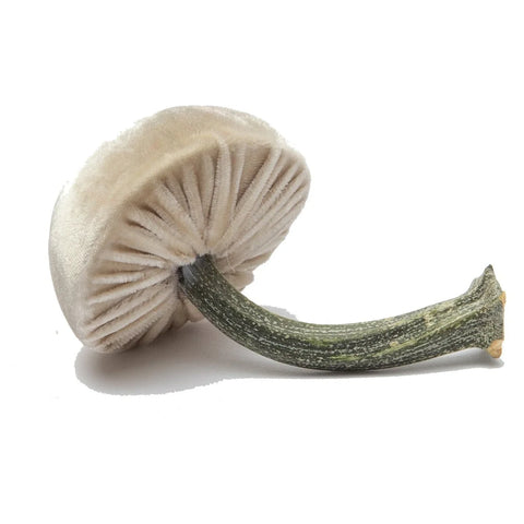 Small Velvet Decorative Mushroom in Cream