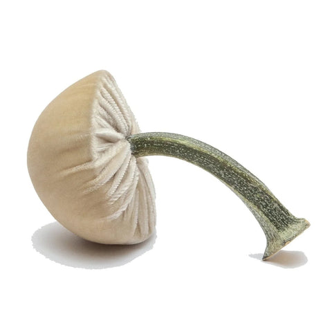 Small Velvet Decorative Mushroom in Cream