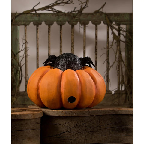 Spider On Pumpkin Jol