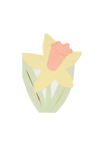 Spring Flower Napkin Set