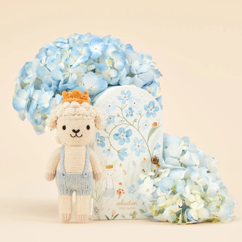 Tiny Sebastian The Lamb Crochet Doll + His House