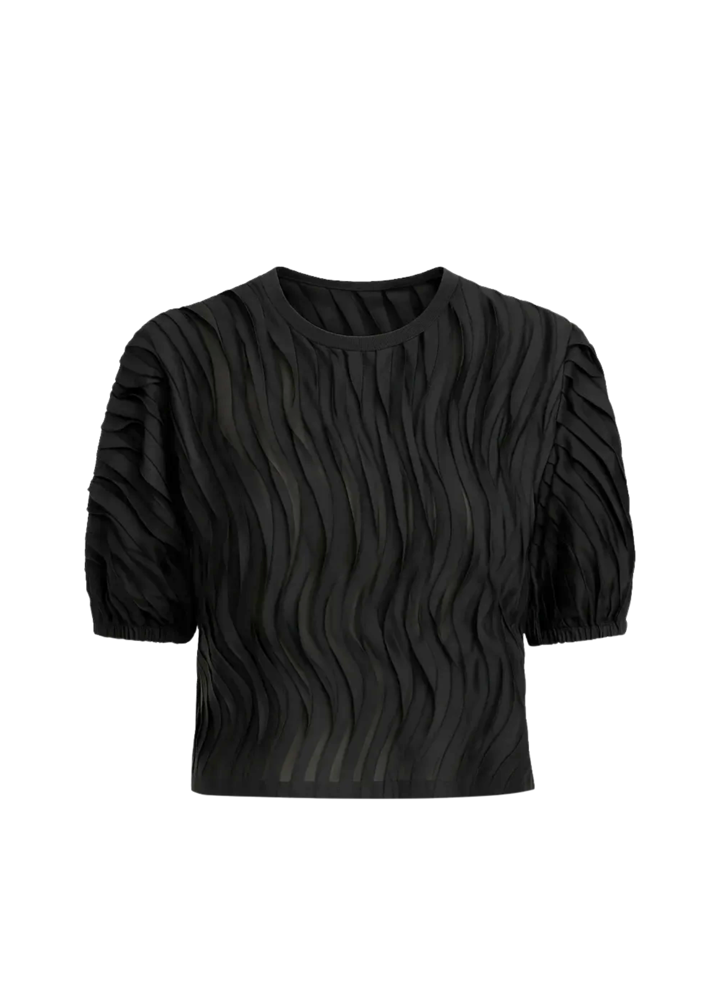 Vayda Chiffon Embroidered Short Sleeve Top in Noir