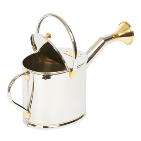 Stainless Steel Watering Can