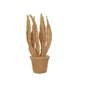 Hand Crochet Raffia Cactus Plant