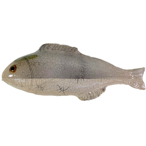 Dorade Fish in Grey