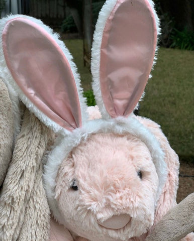 Funny Bunny Ears