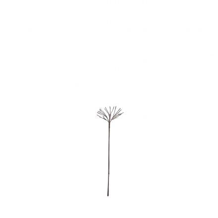Light-Up Dandelion Branch