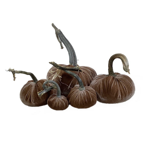 Velvet Decorative Pumpkin in Mocha