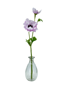 Amour Vase Sans Anse in Clear Glass