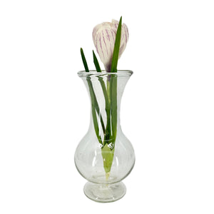 Silhouette Vase in Clear Glass