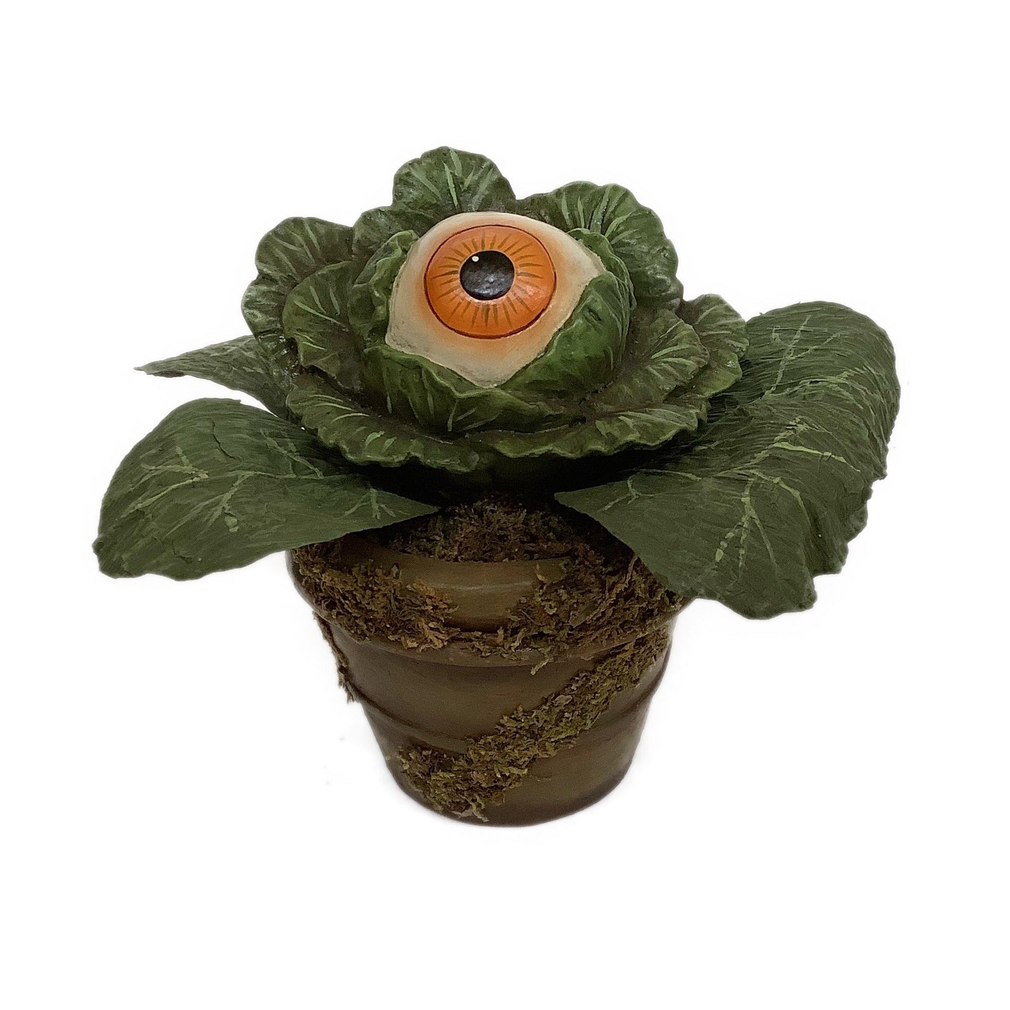 Eerie Eyeball Lettuce