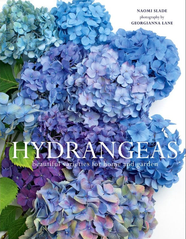 Hydrangeas: Beautiful Varieties for Home + Garden