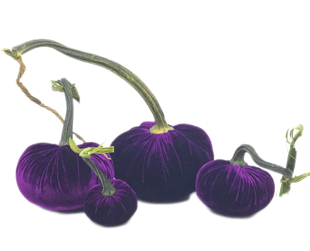 Velvet Decorative Pumpkin in Violet