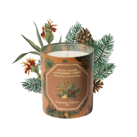 Siberian Pine + Candied Ginger Scented Holiday Candle